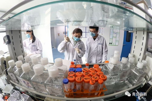 青島企業(yè)創(chuàng)新突破 三款新冠檢測試劑通過巴西權(quán)威認證